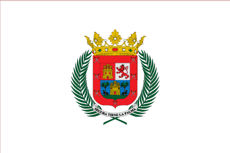 BANDERA AYTO GRAN CANARIAS