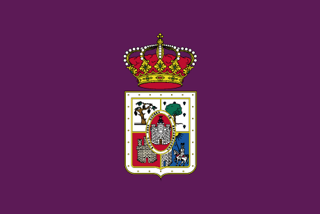 BANDERA DIPUTACIÓN SORIA