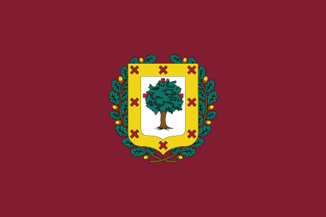 BANDERA VIZCAYA DIPUTACIÓN