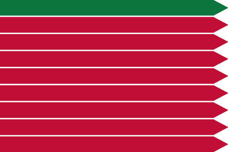 BANDERA ZAMORA AYTO SIN ESCUDO
