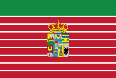 BANDERA ZAMORA CON ESCUDO