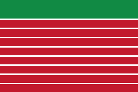 BANDERA ZAMORA SIN ESCUDO