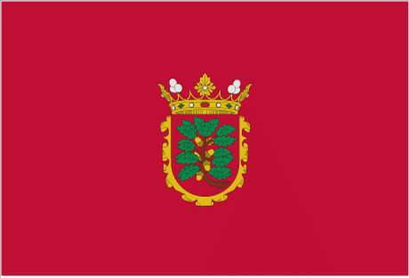 BANDERA ASTORGA