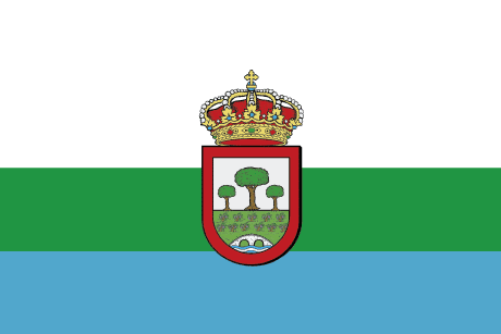 BANDERA BAÑOS DE VALDEARADOS
