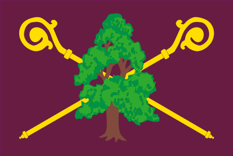 BANDERA BRAZACORTA