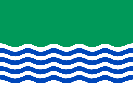 BANDERA EL EJIDO