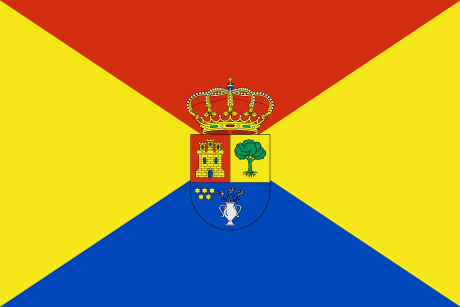 BANDERA MADRIGAL DEL MONTE