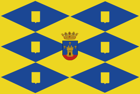 BANDERA ONIL