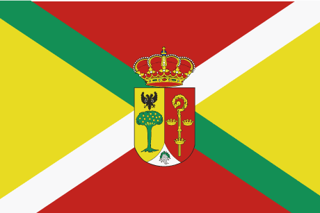 BANDERA QUINTANA DE PIDIO