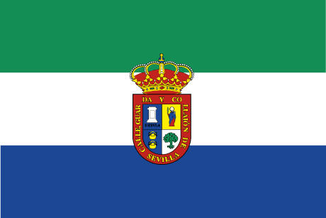 BANDERA SALTERAS