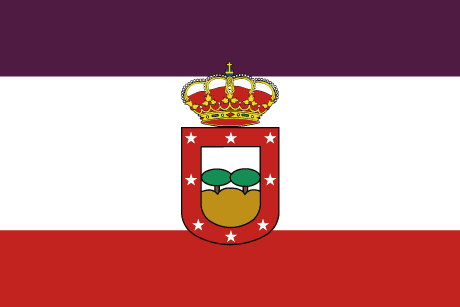 BANDERA TRES CANTOS