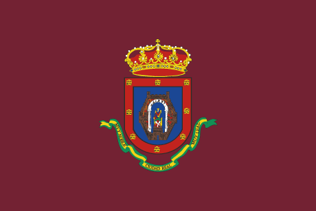 BANDERA CIUDAD REAL