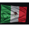 BANDERA EXTERIOR MÉXICO