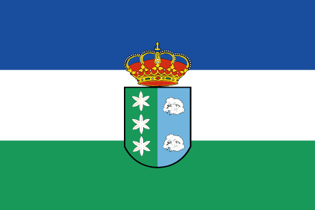 GAMONAL BANDERA