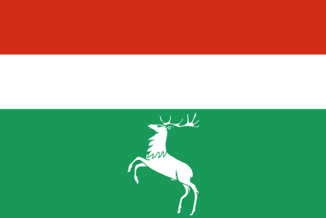 VILLAR DE CIERVOS BANDERA