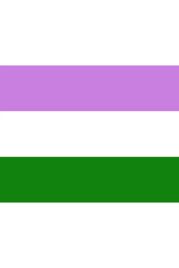 Bandera GenderQueer