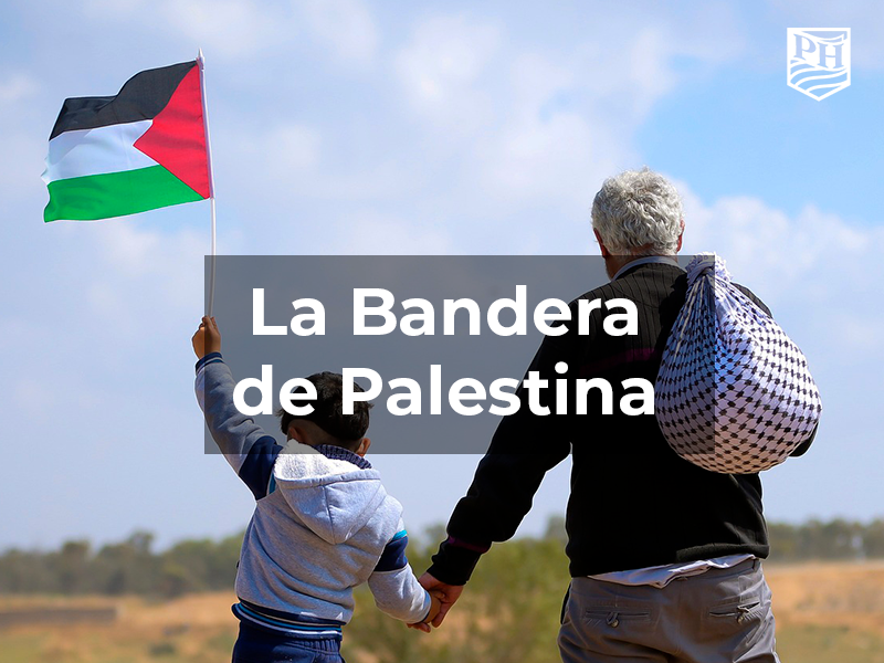 Palestina Hoy on X: El significado de la bandera de Palestina