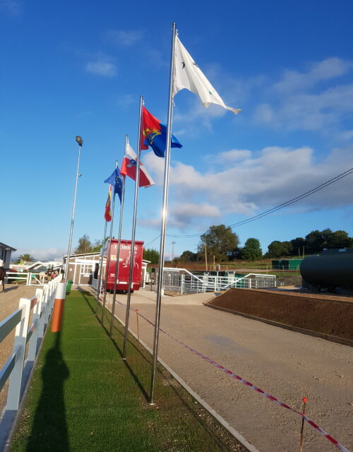 Banderas